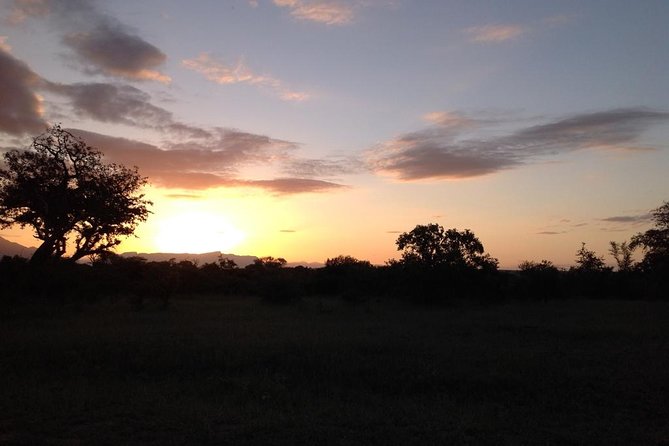 Kruger Park Safari: Guided Day Tour from Nelspruit - Waterholes, Rivers, And The Smaller Finds