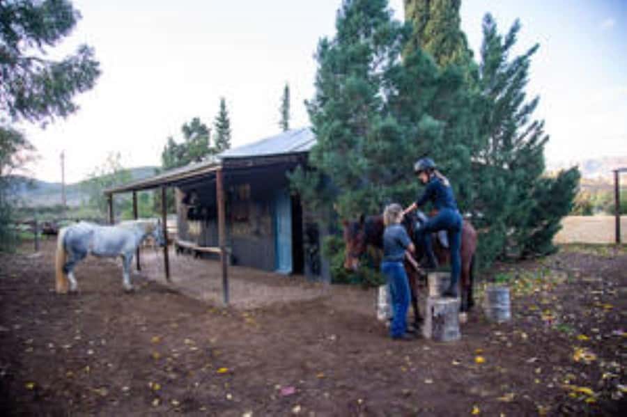 Kudu Trail Horse Riding Experience - Following jeep tracks and farm roads
