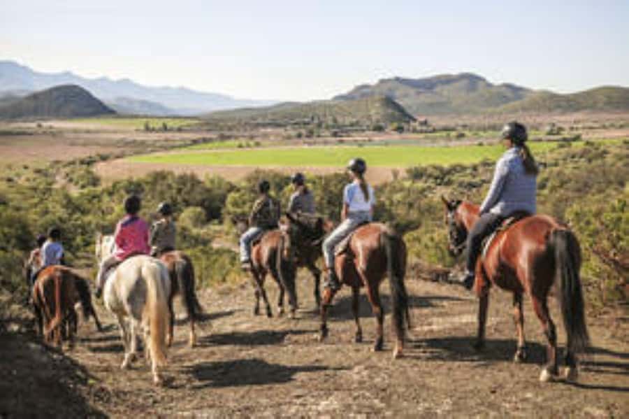 Kudu Trail Horse Riding Experience - Choosing your horse and getting ready