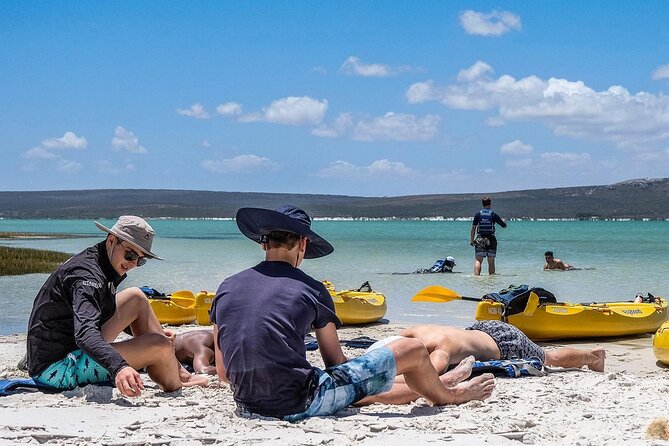 Langebaan Lagoon Island Kayak Experience - Why the guide can shape the whole outing