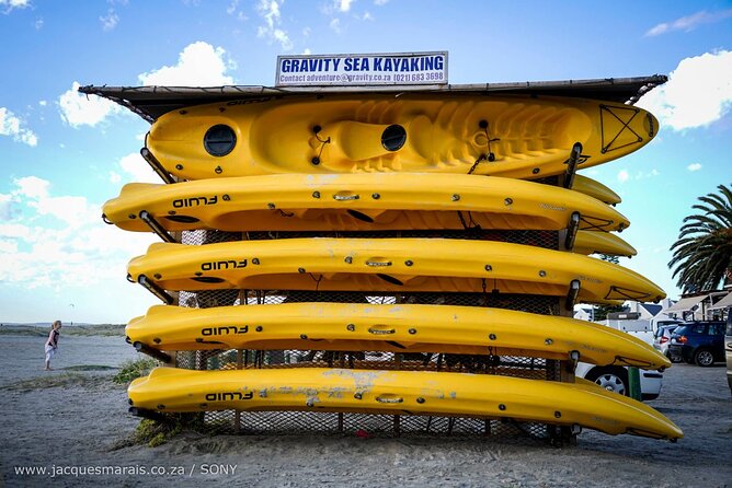 Langebaan Lagoon Island Kayak Experience - The safety briefing and first strokes