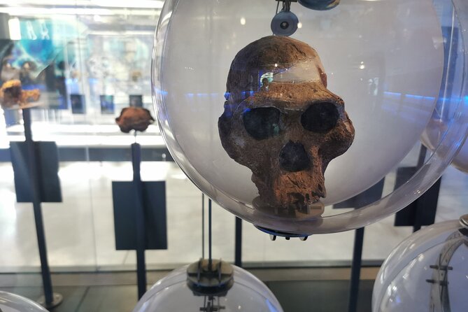 Lesedi Cultural Village and Cradle of Humankind Tour - Maropeng Museum: useful, but know what to expect