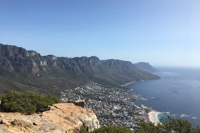 Lion's Head Hike - Private Tour - Who should book this hike?
