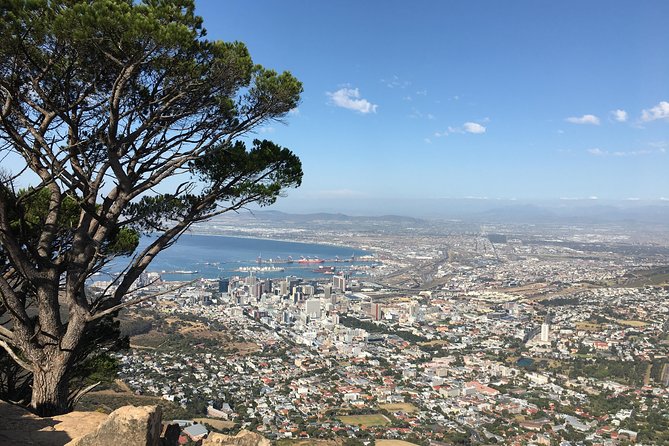 Lion's Head Hike - Private Tour - Timing, weather, and what to bring
