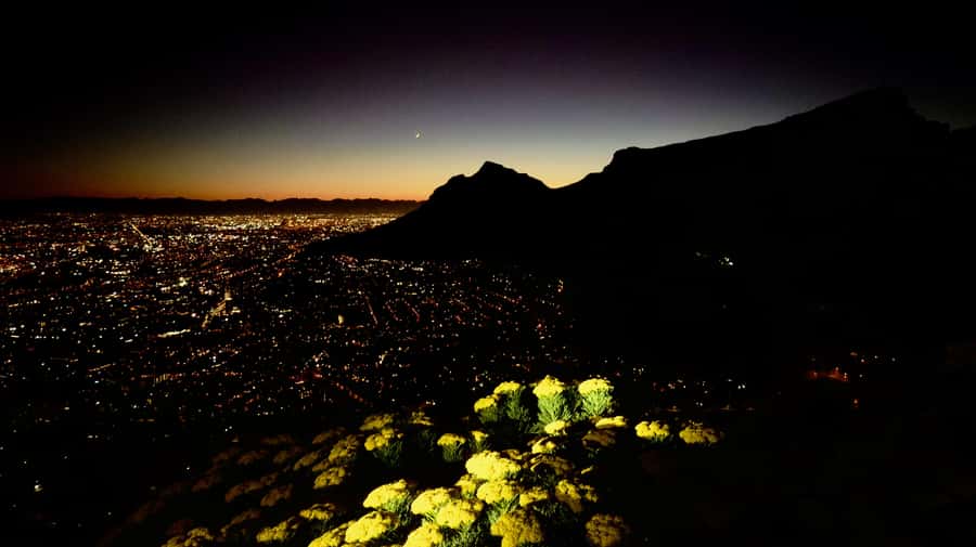 Lion's Head Sunrise or Sunset Hike + Hotel Pick-Up - The One-Hour Descent: Where Your Legs Feel It