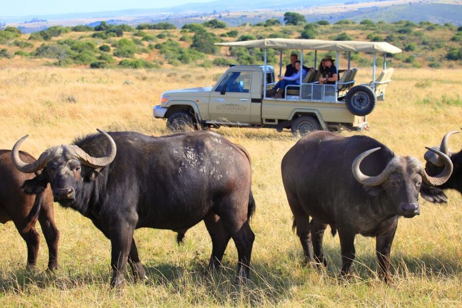 Little Brak River: Botlierskop Guided Game Drive - Starting at the Reserve Entrance