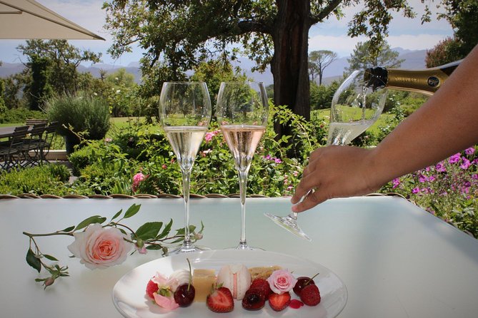 Luxury Wine Tour with Lunch - A Cheetah Stop Changes the Mood