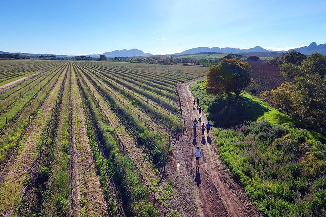Luxury Wine Tour with Lunch - Why the Private Format Matters