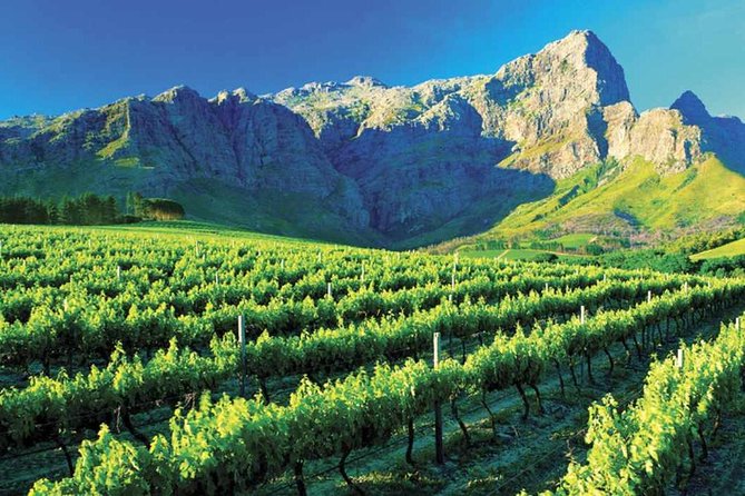 Luxury Wine Tour with Lunch - Leaving Cape Town for Paarl’s Wine and Cheese