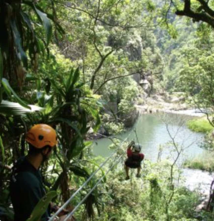 Magoebaskloof Adventures: 2H Canopy Tour - A suspension bridge and pauses in the trees