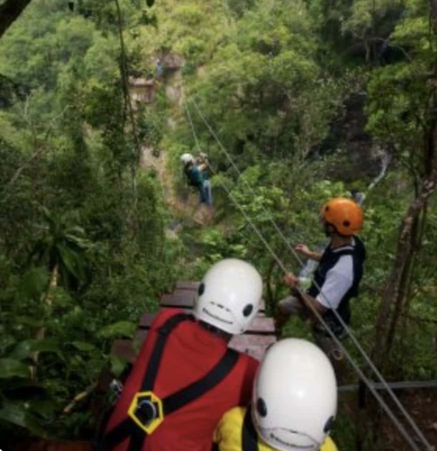 Magoebaskloof Adventures: 2H Canopy Tour - What the guides add to the experience
