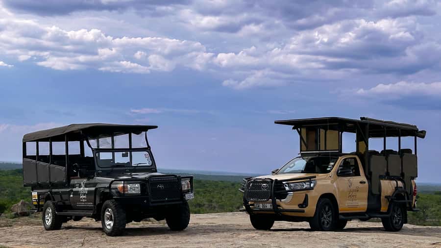 Malelane & Komatipoort: Kruger National Park Half-Day Safari - Why this seven-hour safari works well