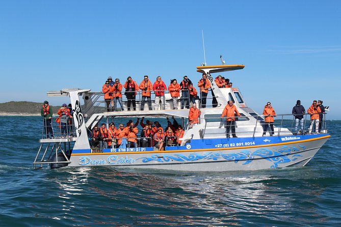 Marine Big 5 Full Day Guided Return Transfer Cape Town - Gansbaai - Price, extra costs, and who gets good value