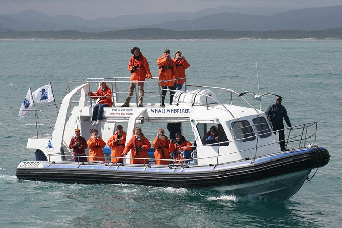 Marine Big 5 Safari full day trip from Cape Town - Arrival at Dyer Island and the start of the cruise