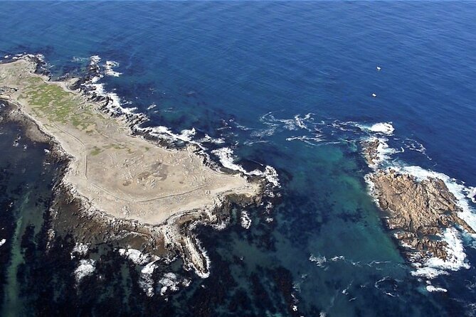 Marine Big 5 Safari with transport from Hermanus - Whale season and what you might see