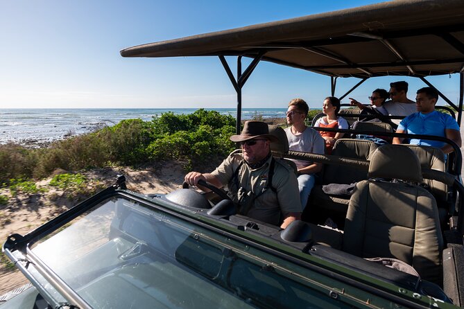 Marine Eco Safari - Why Cape Recife feels different from a boat safari