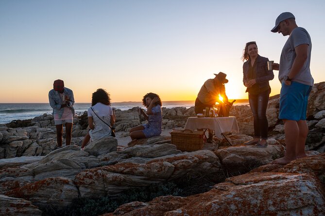 Marine Eco Safari - Birding where coast, bush, and sea meet