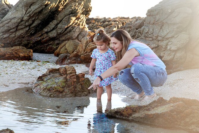 Marine Eco Safari - The lighthouse, history, and coastal walks