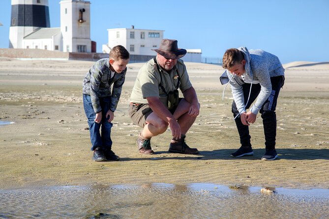 Marine Eco Safari - The sardine run from May to July