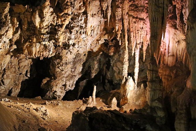 Maropeng Cradle of Humankind Museum &Sterkfontein Cave Experience - The museum’s best feature: making evolution understandable