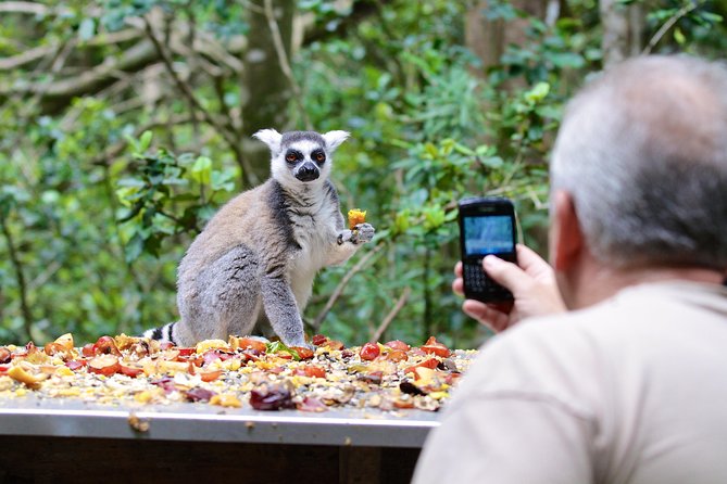 Monkeyland Guided Tour in Plettenberg Bay - Following the guide through 11 primate species