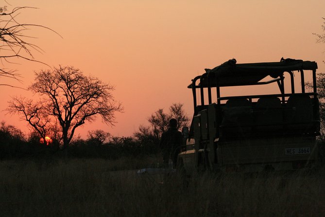 Morning Kruger National Park Safari - Why this Hazyview safari works for a short visit