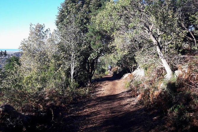 Mountain Biking Table Mountain to Constantia Morning Ride - How Much Fitness Do You Need?