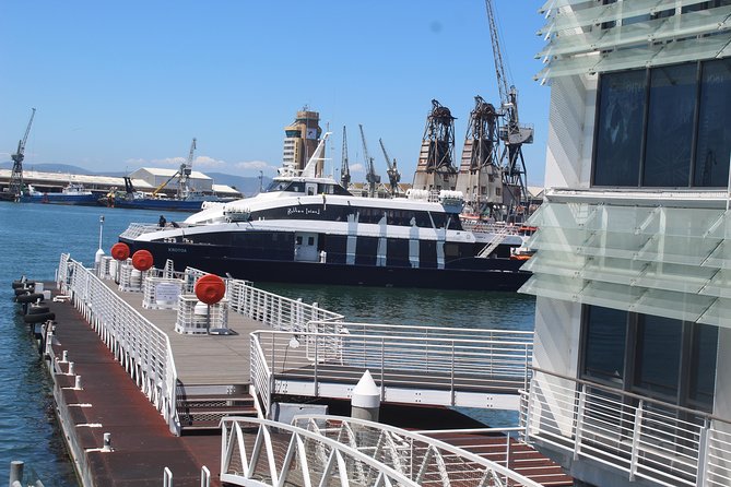 Nelson Mandela's Robben Island Prison Museum Cape Town City Tour + Ferry Tickets - The Company’s Garden and Cape Town’s early supply route