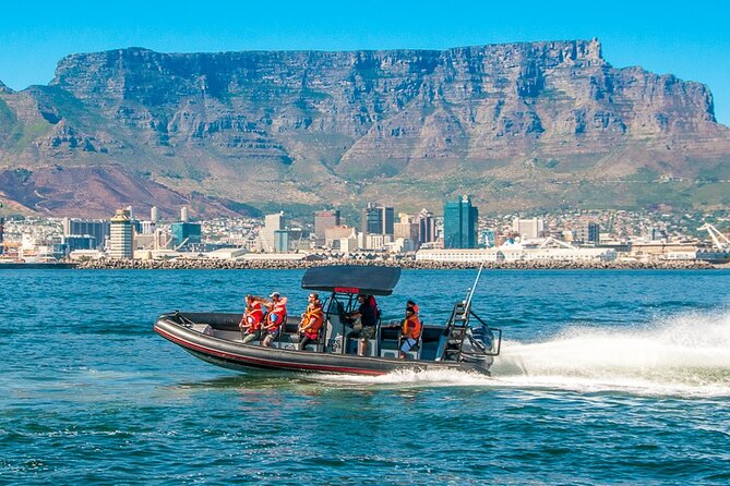 Ocean Safari - Who Should Book This Ride?