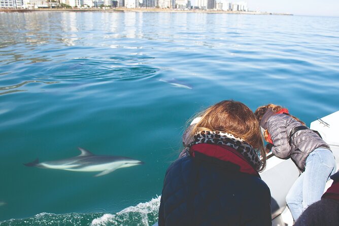 Ocean Wildlife Encounter in Cape Town - The ride: fast, open, and sometimes wet