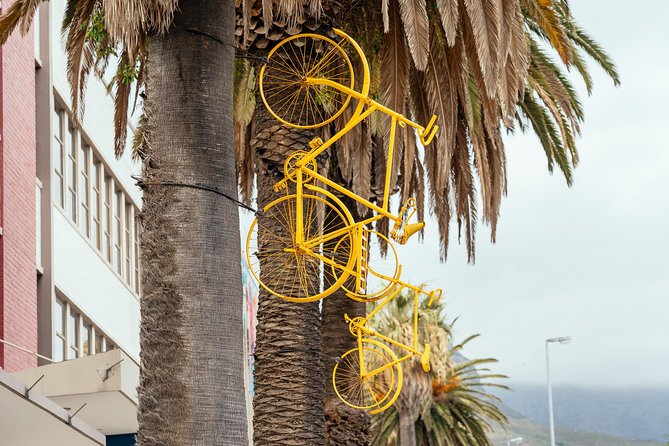 Off the Beaten Track in Cape Town: Private City Tour - Who will enjoy this Cape Town tour
