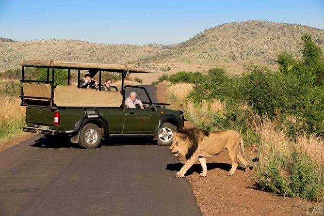 One day Safari including a 5 Hour Open Safari Vehicle Drive - Lunch beside Pilanesberg’s active waterhole