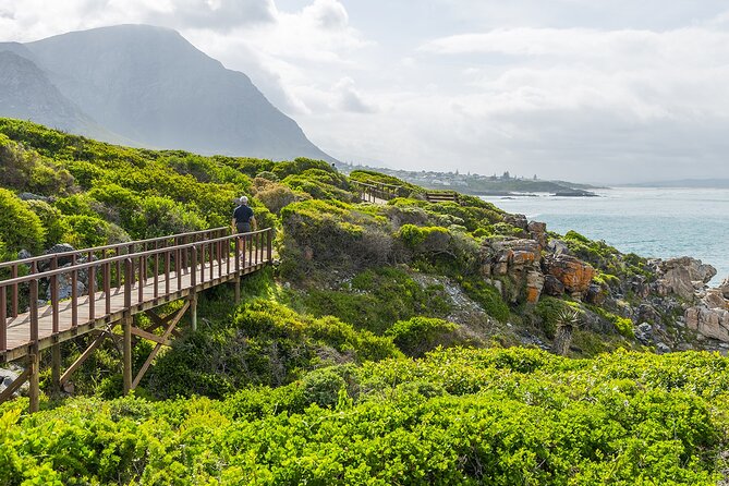 One-Way Hop-on Hop-off Bus from Cape Town to Port Elizabeth - Cape Town gives you a strong starting point