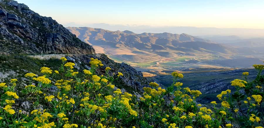 Oudtshoorn: Half-Day Swartberg Pass Private Guided Tour - Leaving Oudtshoorn for the Swartberg foothills