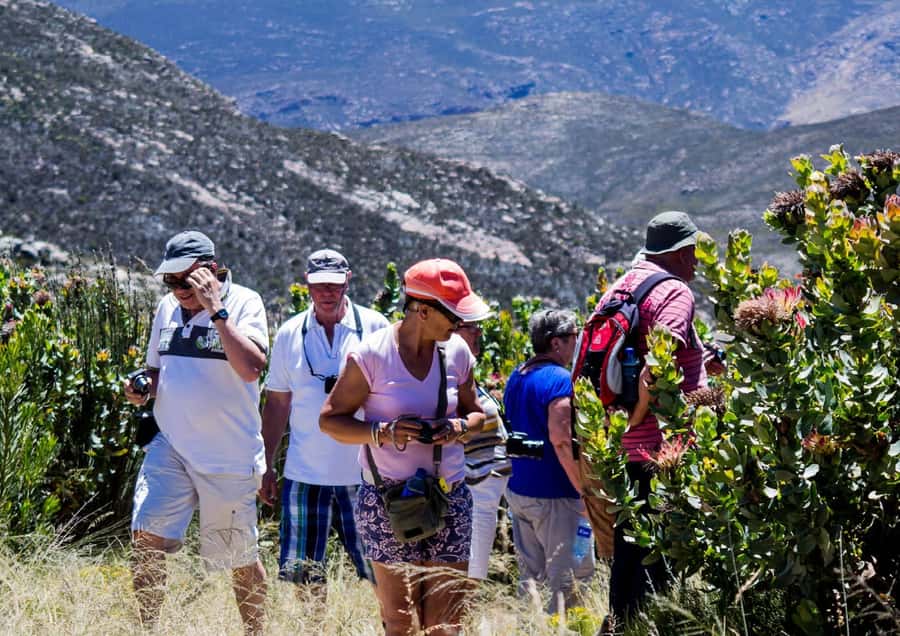 Oudtshoorn: Swartberg Mountain Pass Tour with Country Lunch - Key points to know before booking