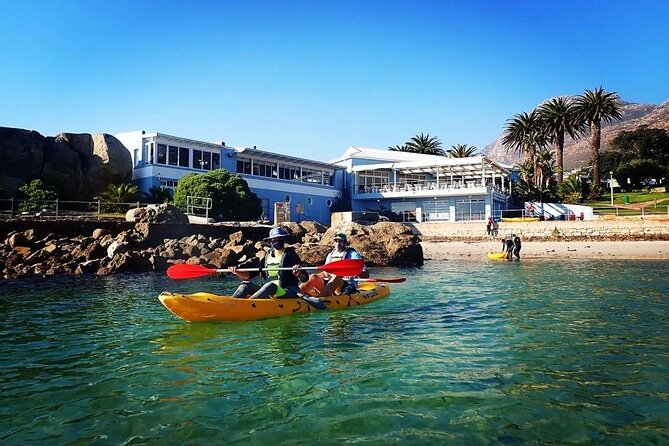 Paddle with the Penguins - Paddling along the Simon’s Town coast