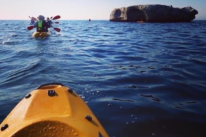 Paddle with the Penguins - Terry and the value of a good guide