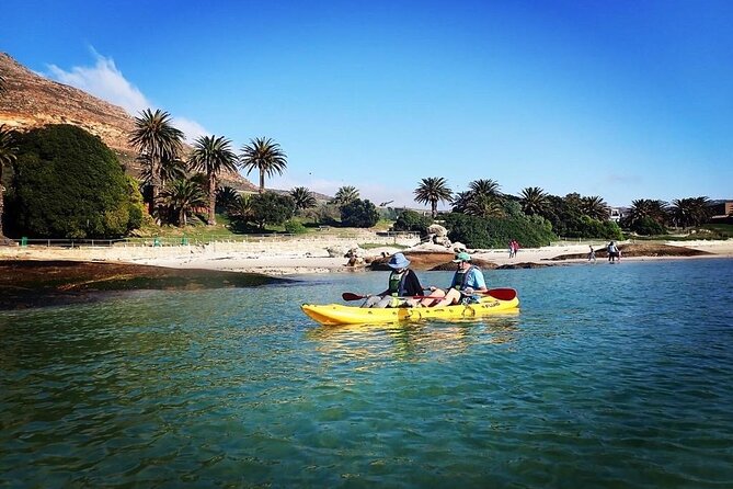 Paddle with the Penguins - Weather is part of the booking decision