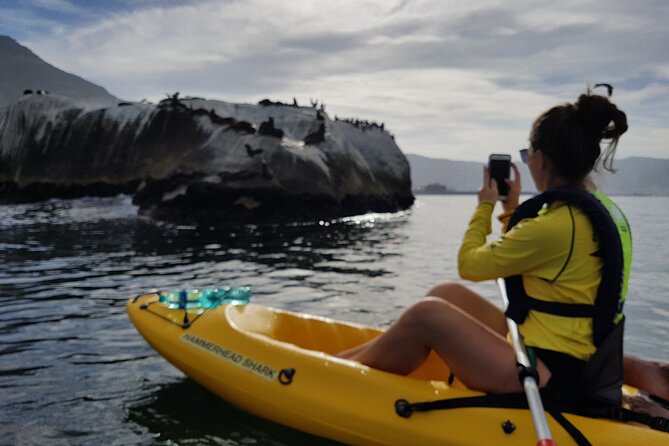 Paddle with the Penguins - Who should book this kayaking trip?
