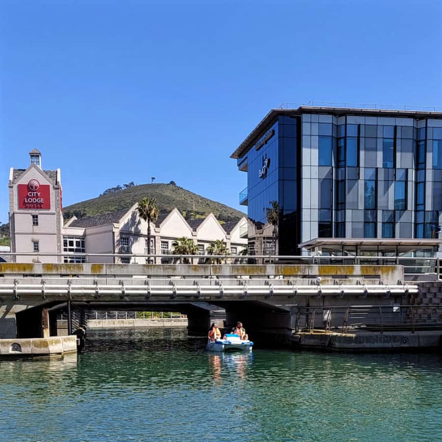 Pedal Boat Ride V&A Waterfront - Cape Town - Key points to know before you pedal