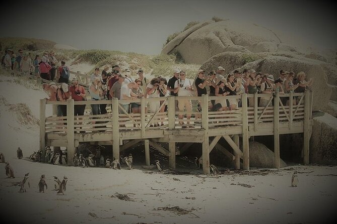 Penguin Encounter Boulders Beach Half Tour Day from Cape Town - Boulders Beach is the heart of the outing