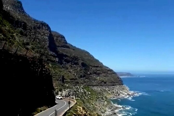 Penguins Cape of Good Hope, Cape Point Private Tour - Cape of Good Hope: monuments, wildlife, and open views