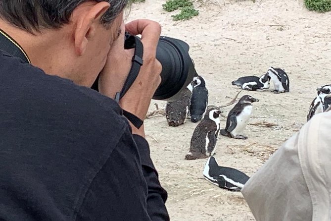Penguins, Cape Point & Table Mountain. - What the private format changes