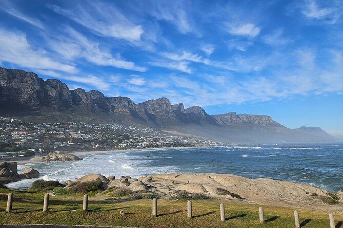 Peninsula Full Day Private Tour - Boulders Beach brings you close to African penguins