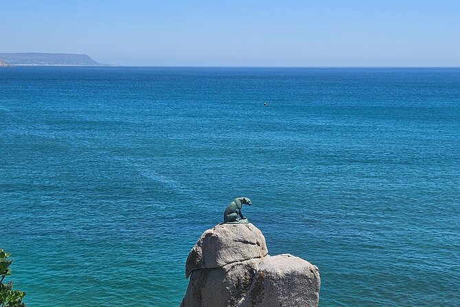 Peninsula Full Day Private Tour - The Atlantic Seaboard closes the loop with classic Cape Town views