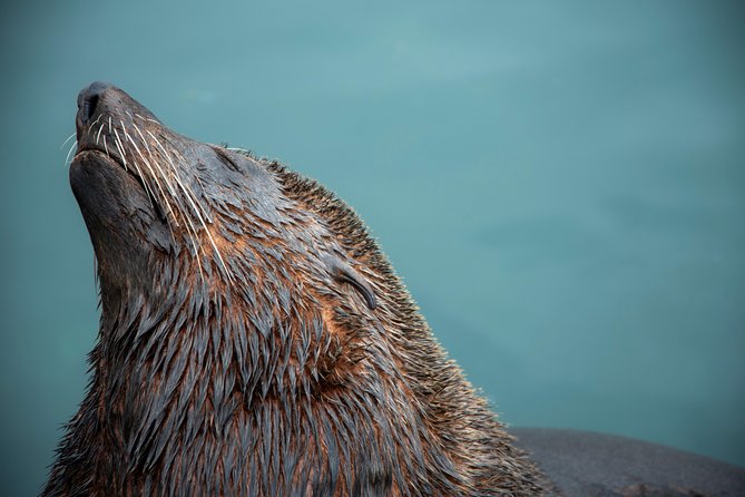 Peninsula Photography Tour - Who should book this experience