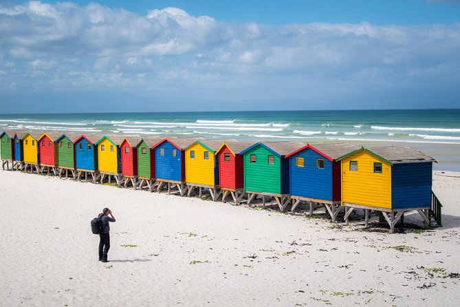 Peninsula Photography Tour - Boulders Beach and the penguin colony