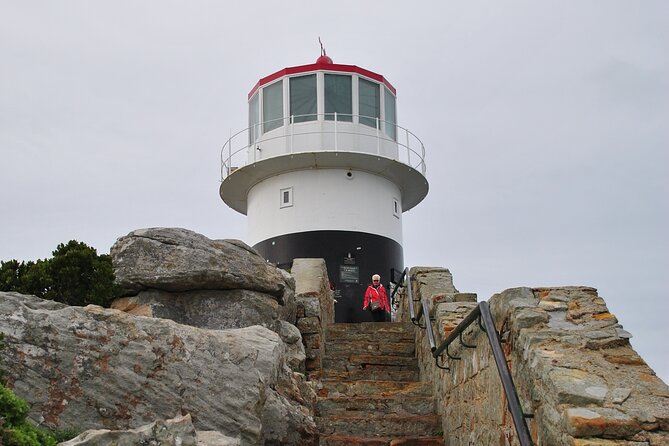 Peninsula Tour - Why a Private Cape Peninsula Tour Makes Sense