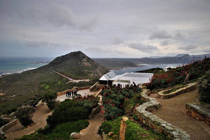 Peninsula Tour - Hout Bay for Markets and Seal Island
