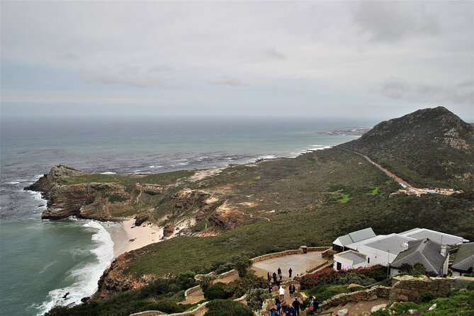 Peninsula Tour - Three Hours Inside Cape Point Nature Reserve
